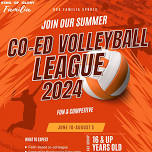Co ed volleyball league