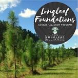 Longleaf Foundations