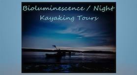 Bioluminescence / Night Kayak Tour