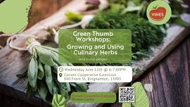 Growing and Using Culinary Herbs
