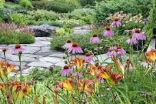 Plant Sale and 'Open Garden Sunday' at Distant Hill Gardens
