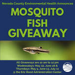 Mosquito Fish Giveaways