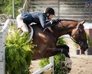 Blowing Rock Charity Horse Show, Hunter-Jumper I Divisions