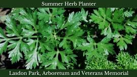 Summer Herb Planter