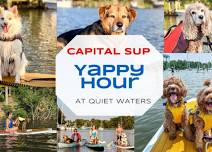Yappy Hour Paddle at Quiet Waters Park