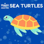 Sea Turtles Swim Lessons - PM 1