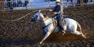 Oneida Cowboy Classic Rodeo