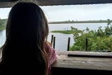 iSimangaliso Wetland Park Family Safari: Exciting Wildlife Watch for Kids and Adults