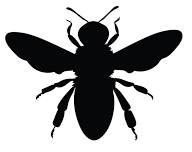 July 2024 Meeting  — Fort Bend Beekeepers Association