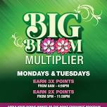 Big Bloom Multiplier — Rosebud Casino