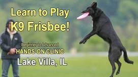 Dog Frisbee Clinic |  Lake Villa, IL