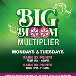 Big Bloom Multiplier — Rosebud Casino