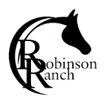 Week 6:  Horsemanship One - Summer Adventures and Horsemanship - Phoenix, AZ 2024