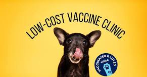 HSNT's Low-cost Vaccine Clinic