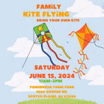 Family Kite Flying