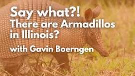 Say what?! There are Armadillos in Illinois?