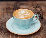 Birds & Brew Coffee Break