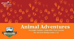Animal Adventures: Summer Camp Mini Session