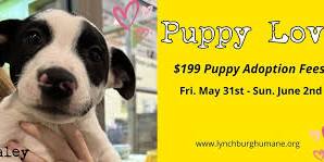 Puppy Love Adoption Special!