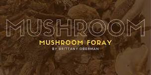 Mushroom Foray