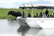 Chobe River Sunset Cruise: An Evening Safari Experience with Hotel Pickup