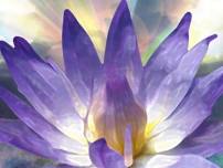 Wednesday Zoom Meditation and Sound Healing with Cathi Burke
