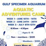 Aquatic Adventures Summer Camp Week 1