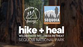 Hike + Heal Sequoia National Park  — Hiking My Feelings