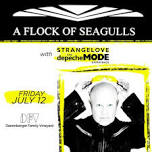 A Flock of Seagulls with Strangelove (Depeche Mode Tribute)