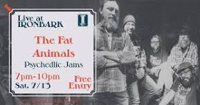 The Fat Animals Live at Ironbark Brewing Co.!