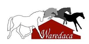 Waradaca Pony Club Trivia Fundraiser