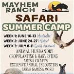 Mayhem Ranch Summer Safari Camp