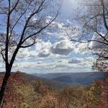 Sherwood Forest State Natural Area, TN – Volunteer Vacation 2024