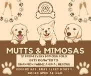 July Mutts & Mimosas