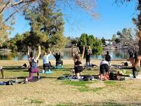 Sunday Yoga in the Park