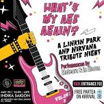 What's My Age Again - VOLUME 8 - A Linkin Park & Nirvana tribute night