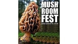 Pere Marquette Mushroom Festival - Grafton, IL — greatriverroad.com