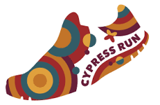 Cypress Run