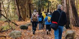Guided Hikes (Scarborough) (FREE)